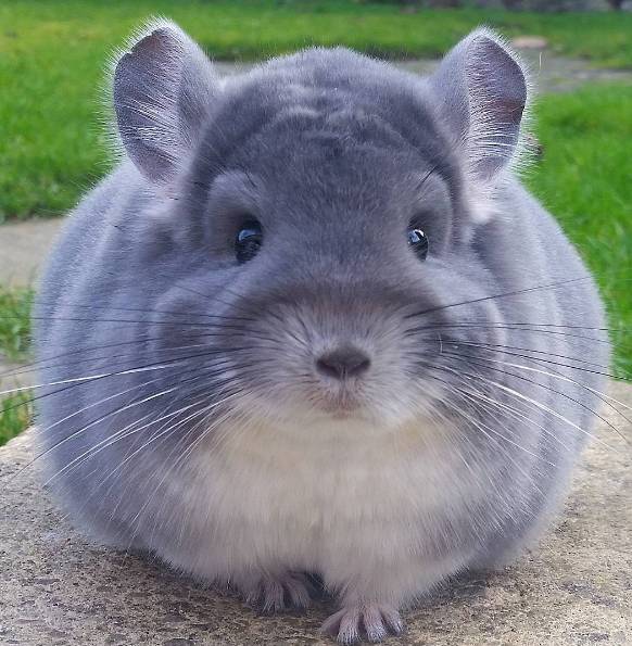 想要属于自己的东西为什么,想要属于自己的东西