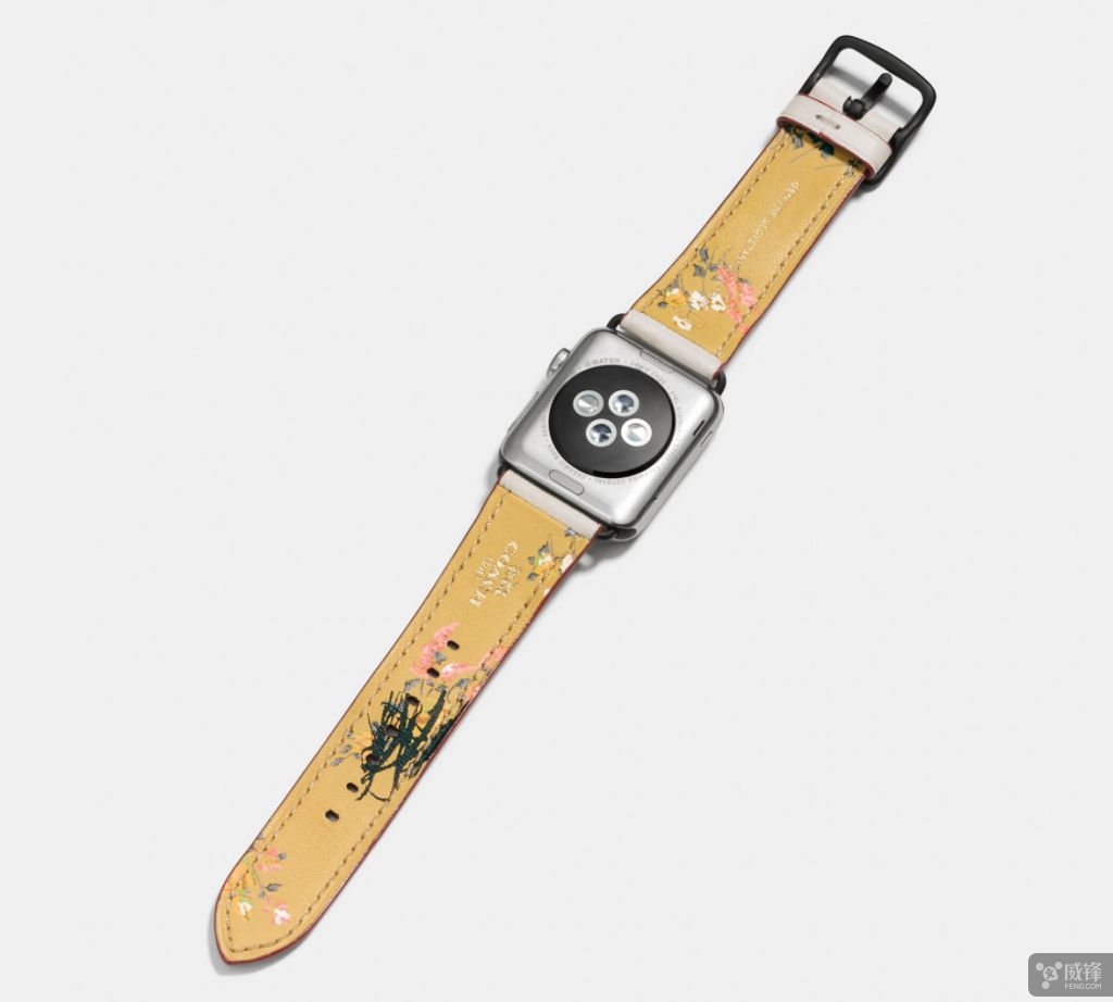 蔻驰applestraps手表,蔻驰苹果表带