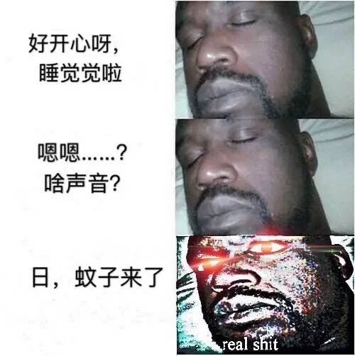 午间版：关系、躺列都是啥？二次元黑话不懂了！