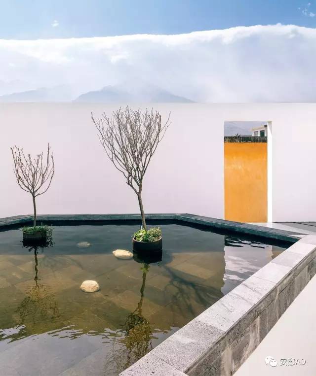 重回大理三｜你住的客栈的主人，也是有故事的人！（赢房券）