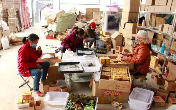 全国第三，江苏第一！阿里研究院公布的这个榜单，告诉你沭阳的实力！