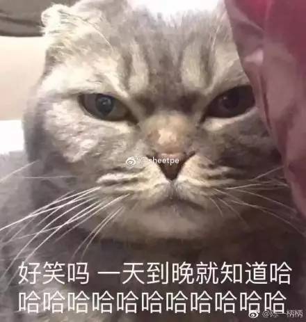 午间版：关系、躺列都是啥？二次元黑话不懂了！