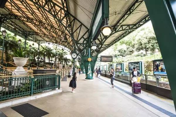 再一次香港｜带着老妈去看花花世界，佐敦觅食，中环闲逛，维港夜游，探索迪士尼的童话天地！