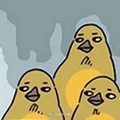 午间版：关系、躺列都是啥？二次元黑话不懂了！