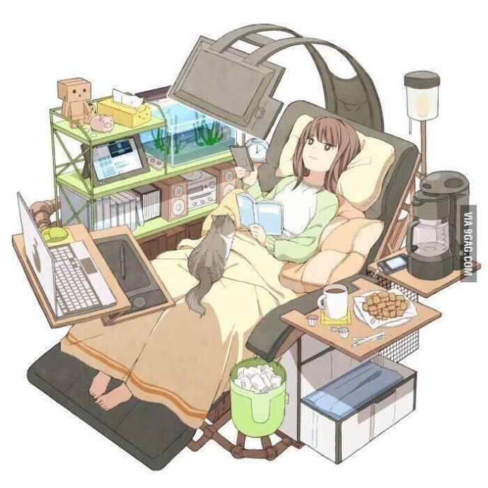 午间版：关系、躺列都是啥？二次元黑话不懂了！