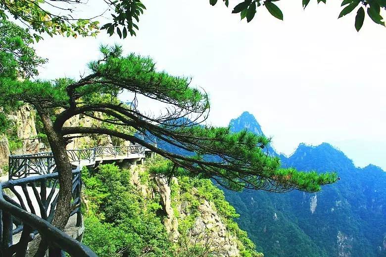 浙江最合适露营的6个好去处,浙江最佳的露营之地