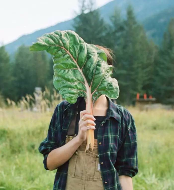 那些被日照选为“斑”长的肌肤，得学会这样自救