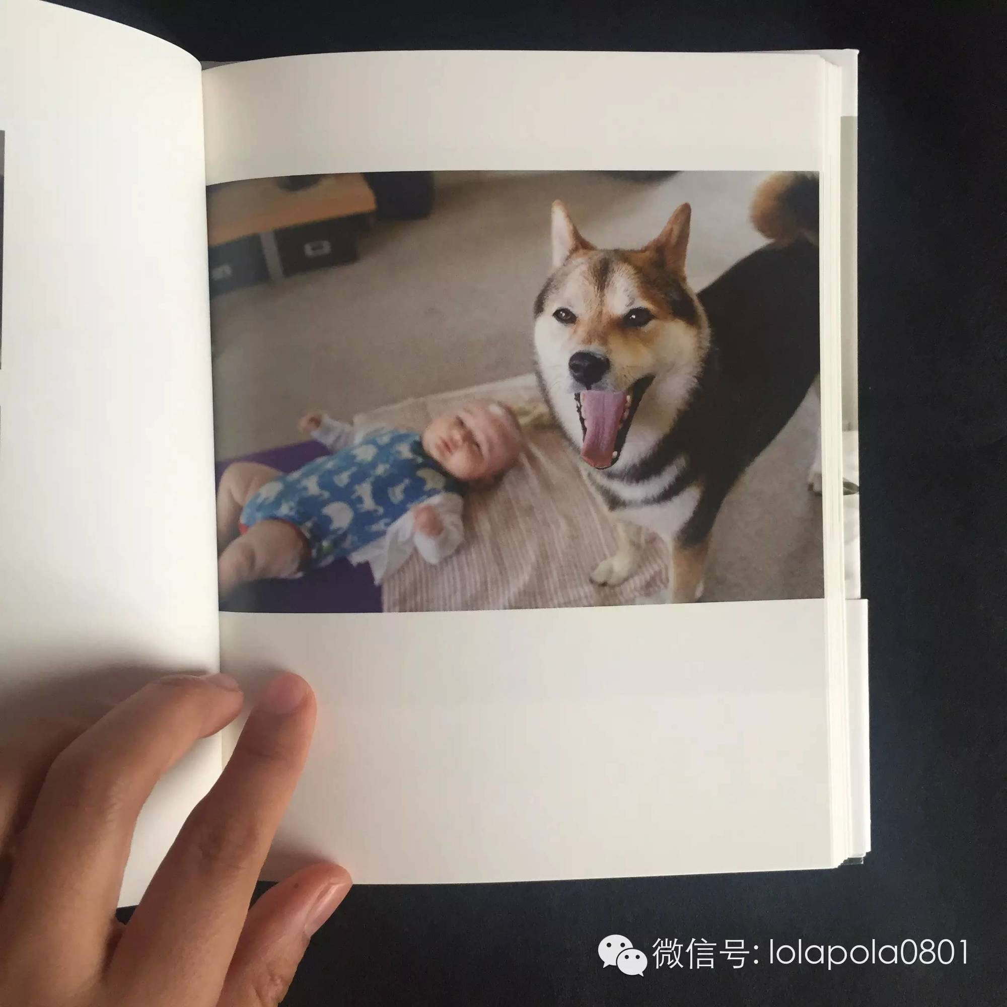 WeeklyFav｜#200125-0214春节假期好物发现推荐