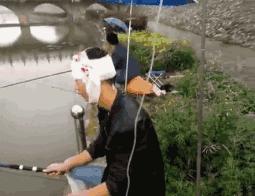 吃草能减肥的话,减肥从吃草开始