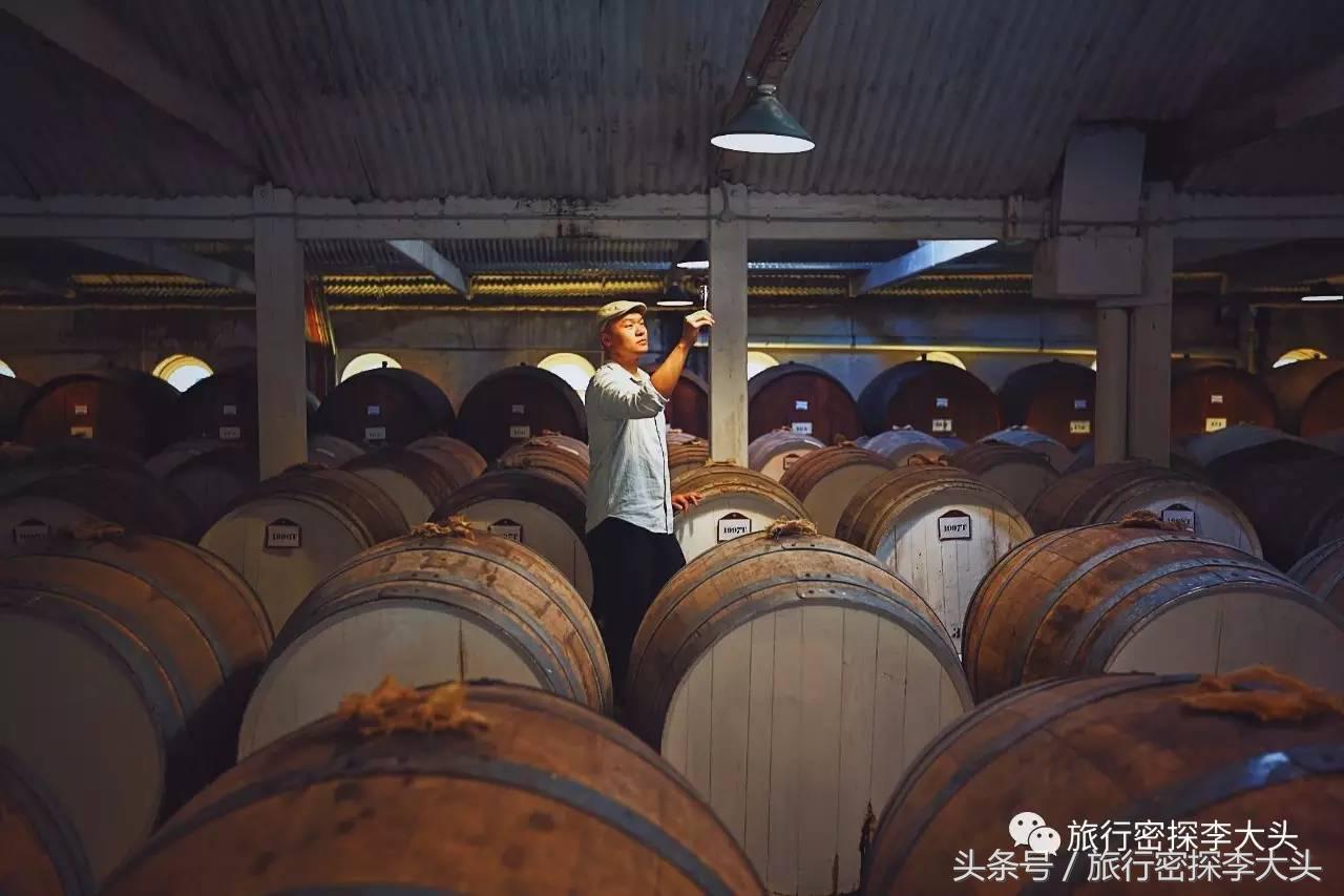 中国哪里能够抱考拉,全球哪里能够抱考拉