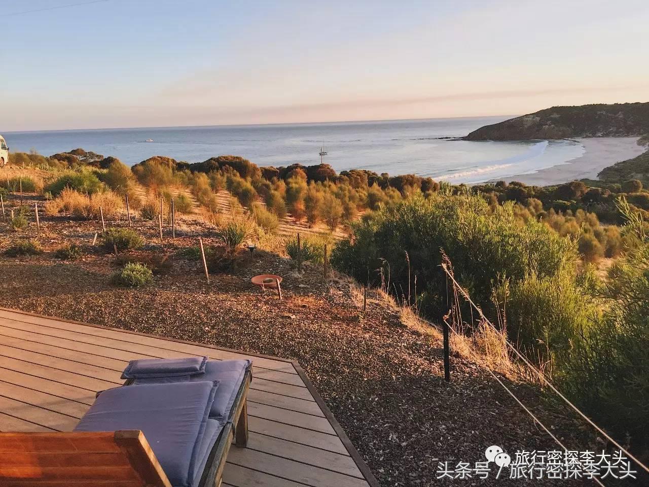 中国哪里能够抱考拉,全球哪里能够抱考拉