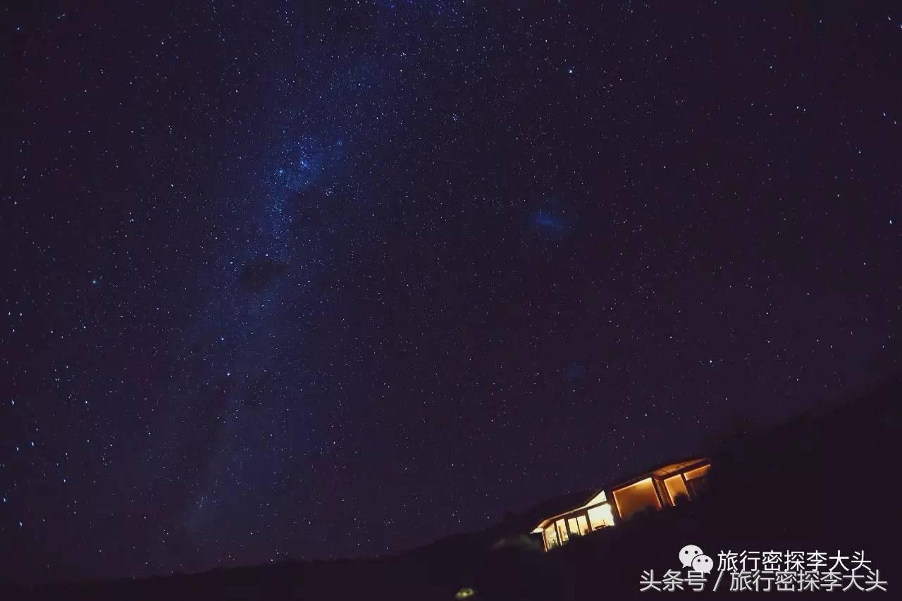 中国哪里能够抱考拉,全球哪里能够抱考拉