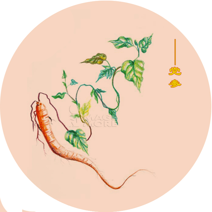 你肯定不知道中药还能够这么美