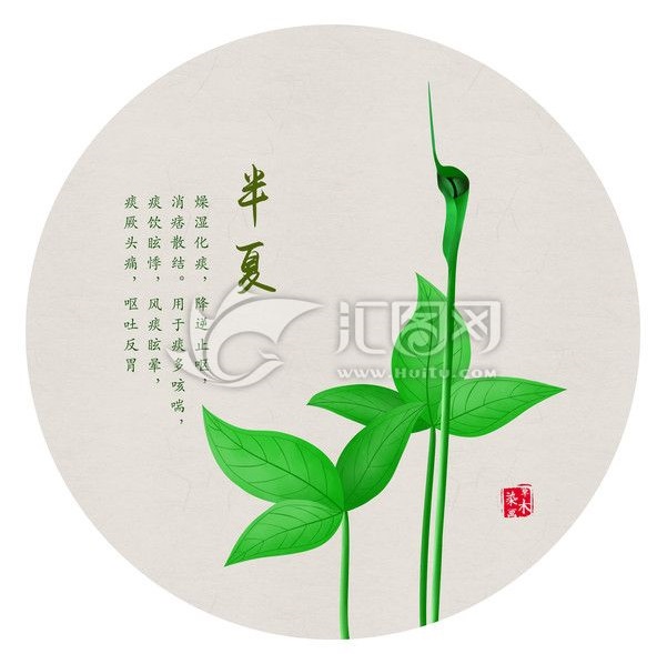 你肯定不知道中药还能够这么美