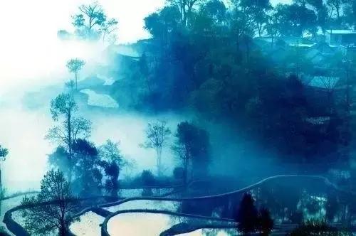 有哪些歌最打动你,哪些歌词打动人心