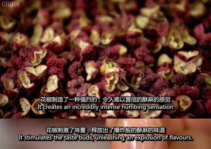 听说你们四川人有种毒，服下会有种不可描述的肉麻