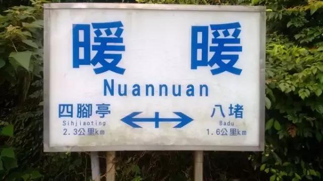 有哪些歌最打动你,哪些歌词打动人心