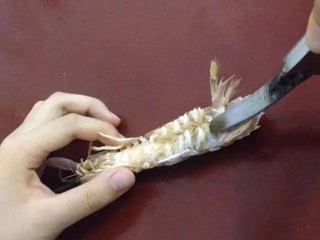 吃的真相｜是膏不是胶！皮皮虾，这锅我们不背！