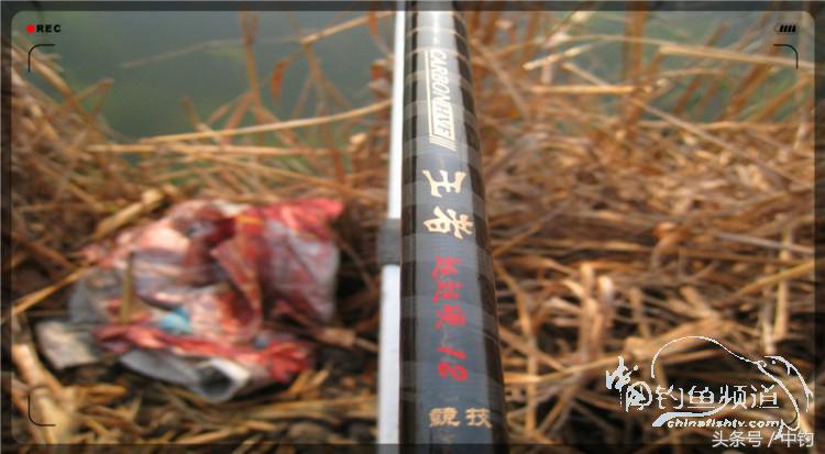 放流才有路亚的乐趣,放流能让资源更丰富