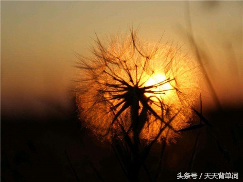 生活简单美好的句子发朋友圈说说,生活努力忙碌励志句子发朋友圈