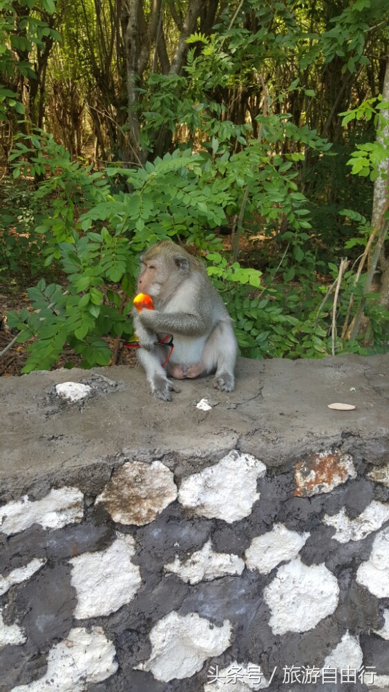 印度尼西亚巴厘岛旅游全攻略,去巴厘岛旅游必去景点攻略图