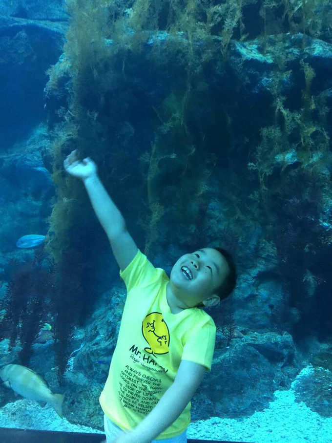 一个人穷游中国迪拜游记,迪拜穷游自由行攻略