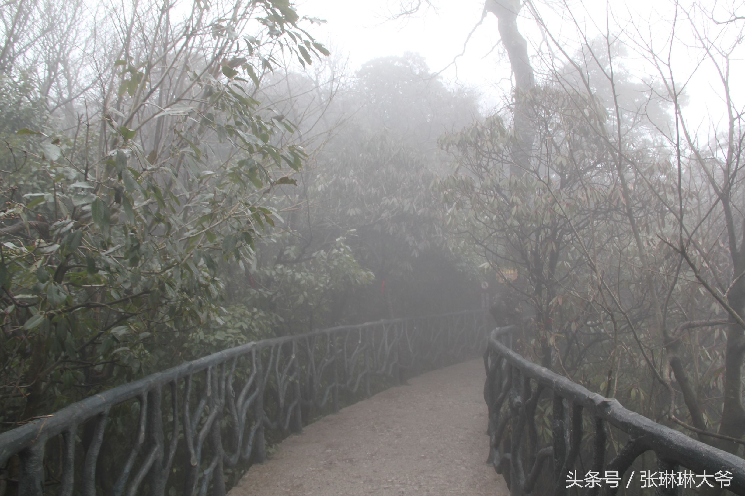 北京姑娘徒步完全视频,北京姑娘旅行