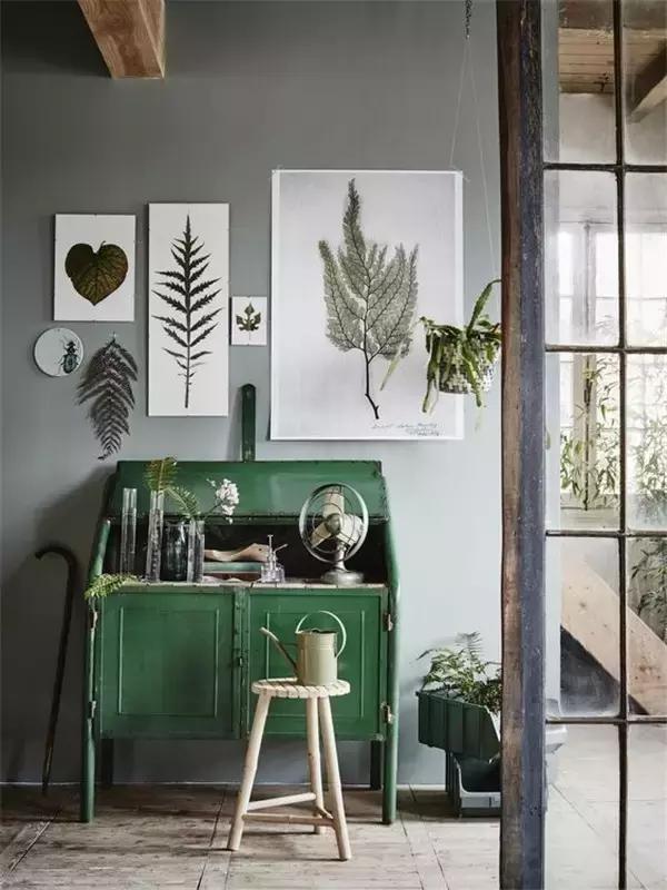 植物标本挂在墙上好看 (植物标本挂墙上)