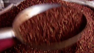 听说你们四川人有种毒，服下会有种不可描述的肉麻