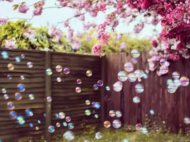 有哪些歌最打动你,哪些歌词打动人心