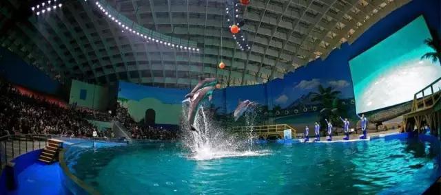 地铁8号线明天会全线开通吗,地铁8号线未来会南延到新机场吗