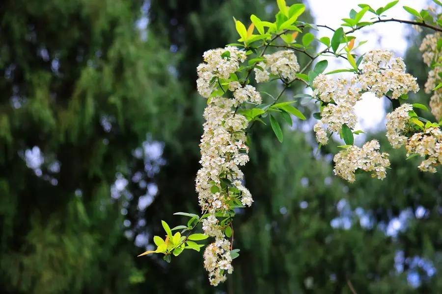 元宝山下，山水云间，悠悠闲云时光，恰好那时我也在