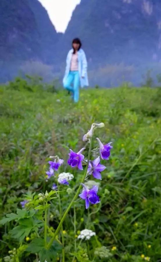 元宝山下，山水云间，悠悠闲云时光，恰好那时我也在