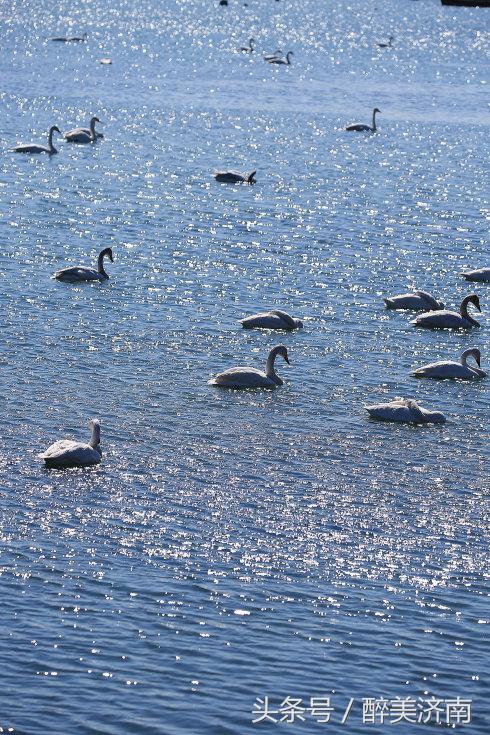 实拍：被俄罗斯美女帅哥酷爱的中国房车是什么样子