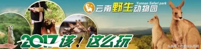 再见了龙狮城,再见了八年级