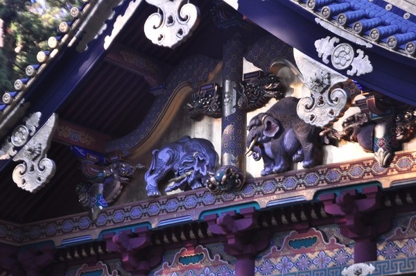 日本人在清朝之前从未见过大象，有人送了两头可把他们高兴坏了！