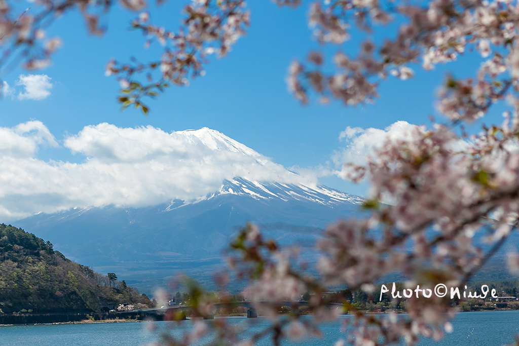 空姐在东京旅游,跟着游东京