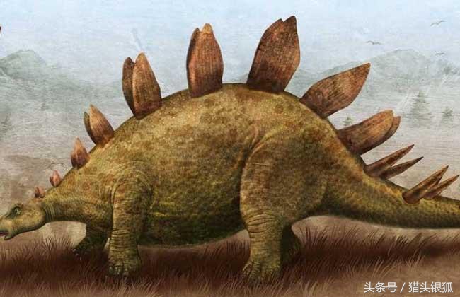 恐龙灭亡真相揭秘,各类恐龙生活的年代及灭亡时间