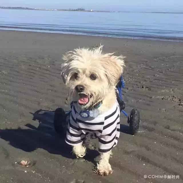 爱笑高颜能赚钱，创立同名品牌的千万级代购才是好买手