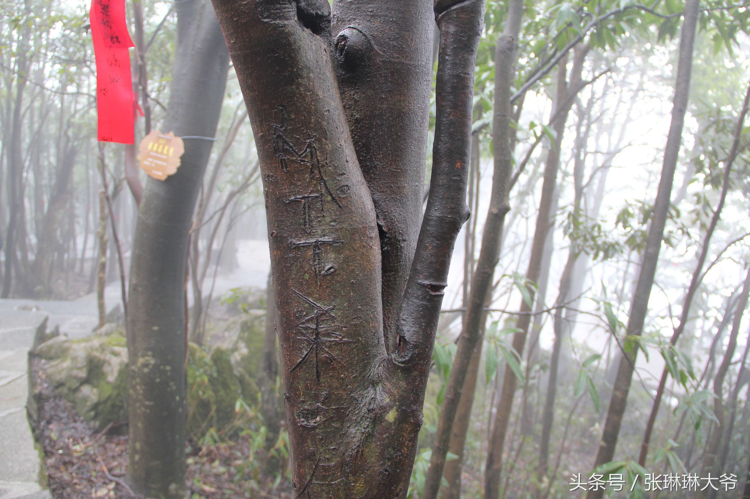北京姑娘徒步完全视频,北京姑娘旅行