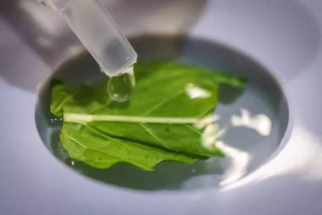 买一套1千元的玩具,500块1套玩具