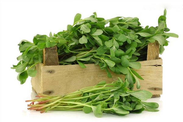 据说89种药食同源食物中的这8种对高血压、糖尿病、高血脂最好