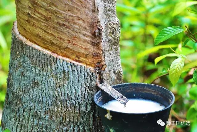 乳胶枕头真假海南,如何鉴别乳胶枕头的真假与好坏