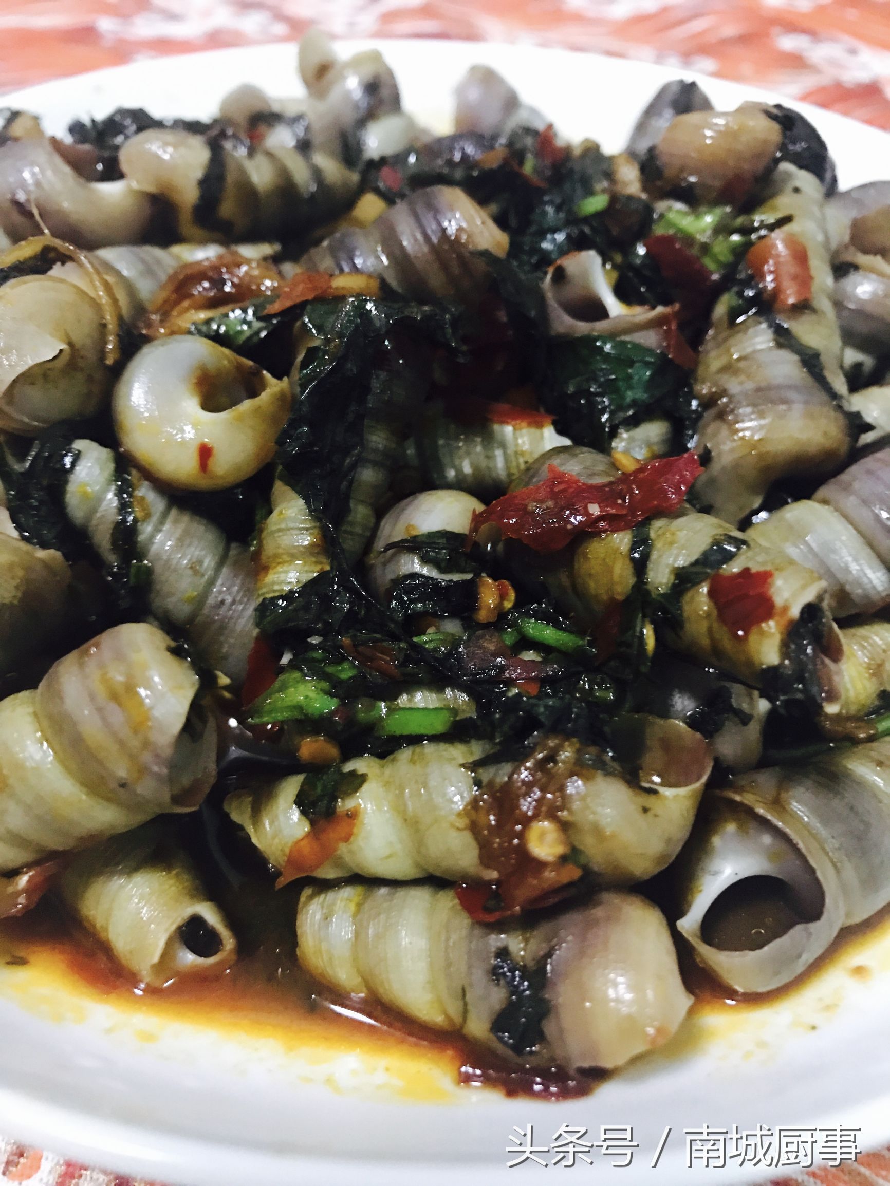炒钉螺的做法大全家常,辣炒钉螺的最正宗做法大全