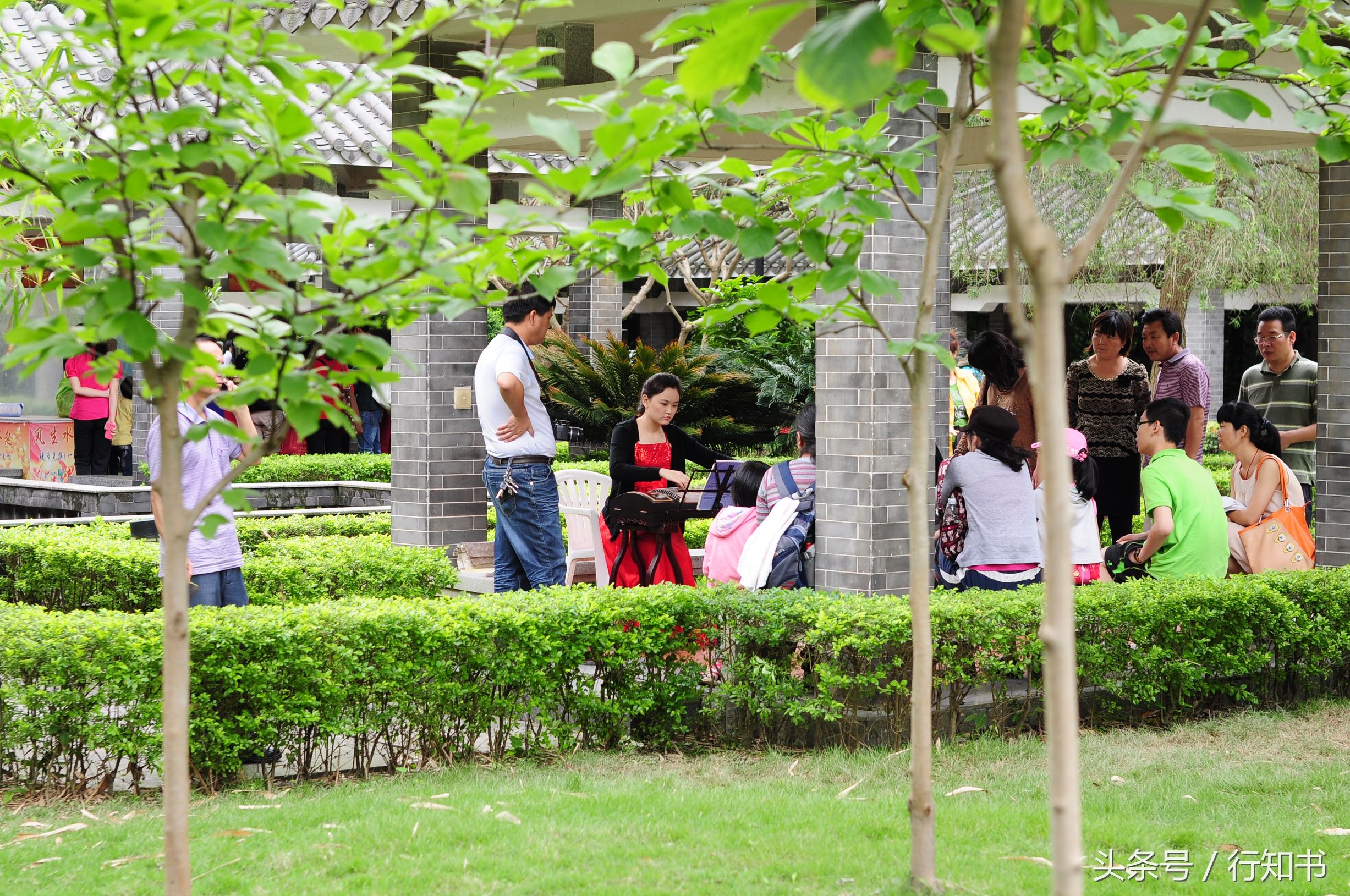 深圳旅游必去十大景点动物园,广州一日游最佳去处动物园