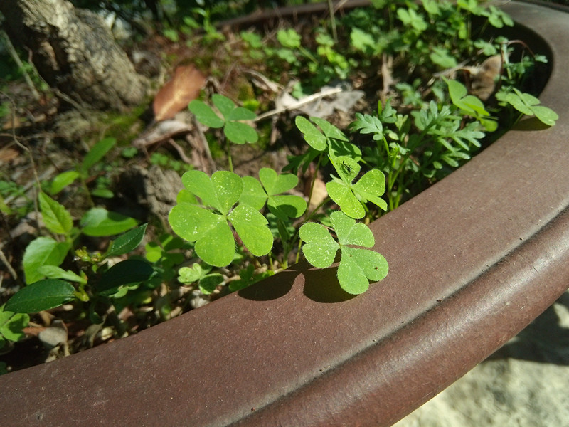 裸眼3d手机2019,沉浸式裸眼3d手机