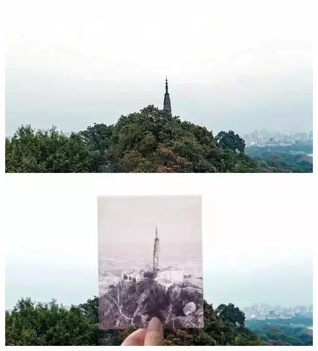 杭州为什么能够大规模拍地,杭州大规模拍地