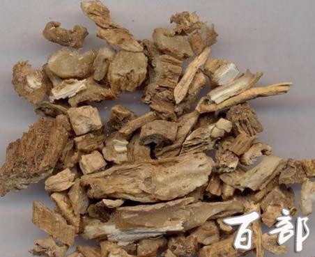 房间有跳蚤被跳蚤咬怎么办,跳蚤咬到很痒怎么处理