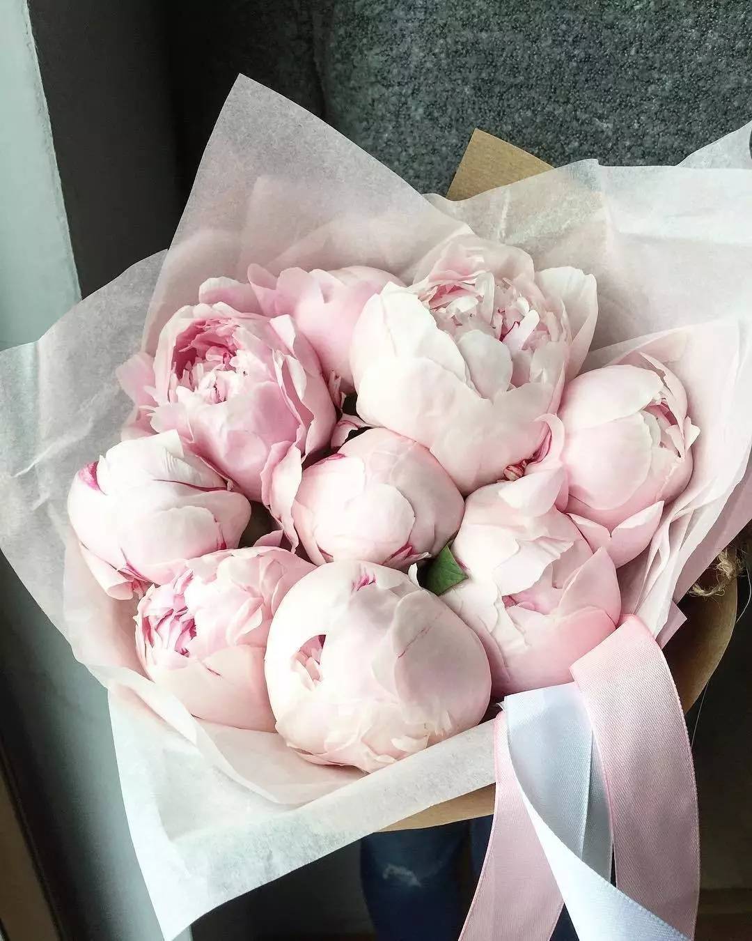 除了康乃馨还能够送母亲什么花,母亲节合适送妈妈的花康乃馨