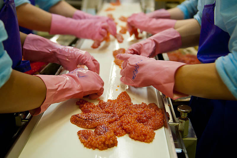 带你探寻顶级鱼子酱的加工流程,顶级鱼子酱加工过程